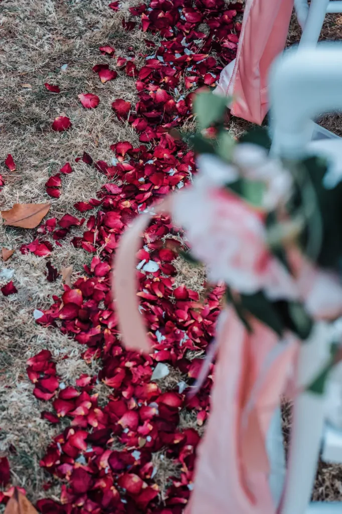 Détail floral aux tons rouges