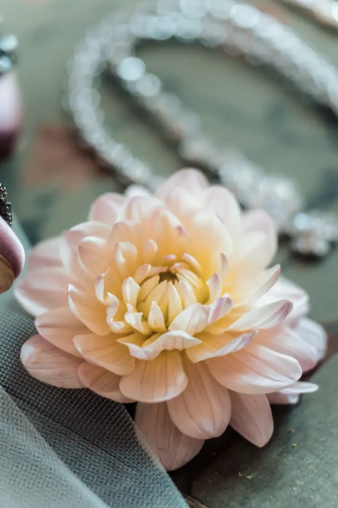 Détail floral du mariage