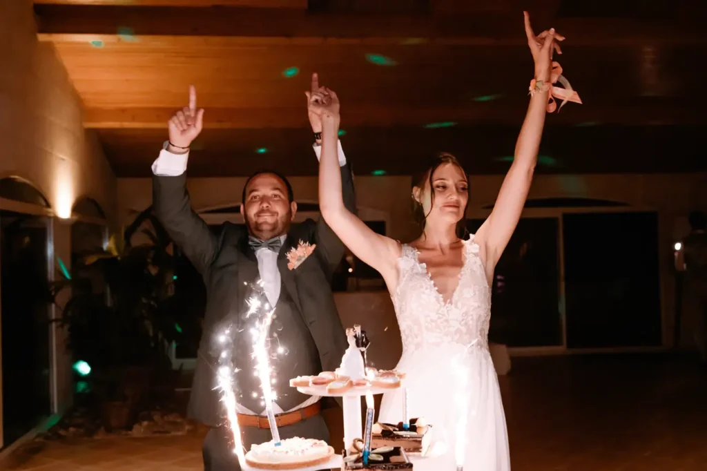 Arrivée du gâteau de mariage lors de la soirée au Domaine de Ségur