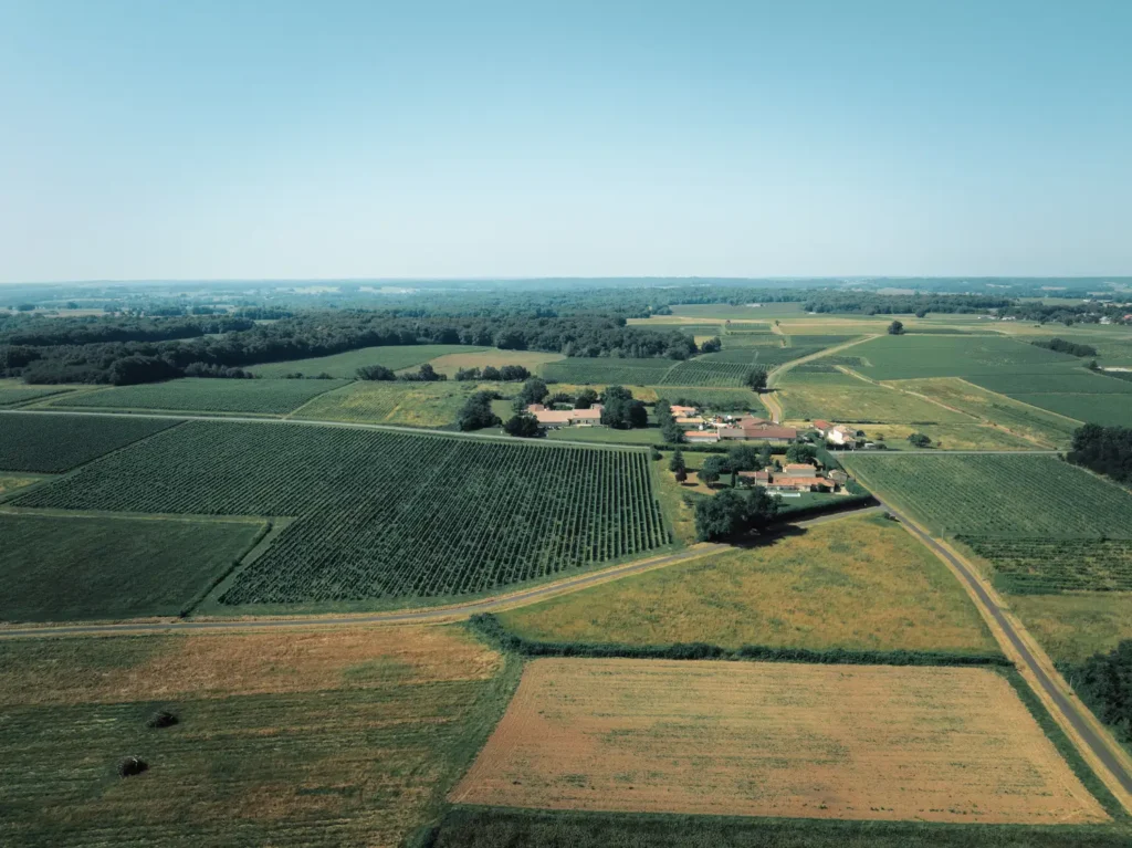 Paysage viticole autour du domaine proche de Bordeaux