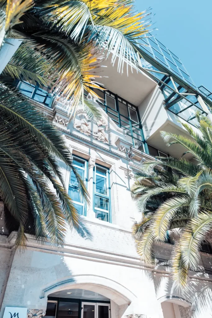 façade d’un bâtiment à Bordeaux avec palmier en premier plan